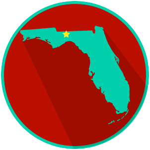 View Florida State and Local Government ENGLISH READINGS UPDATED